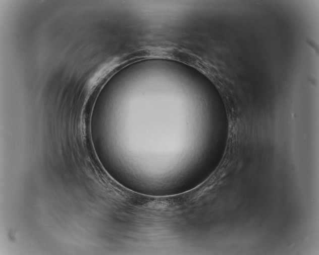 X0000101690294200807171441