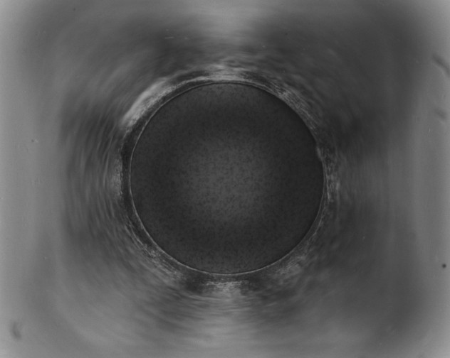 X0000101690295200807171441