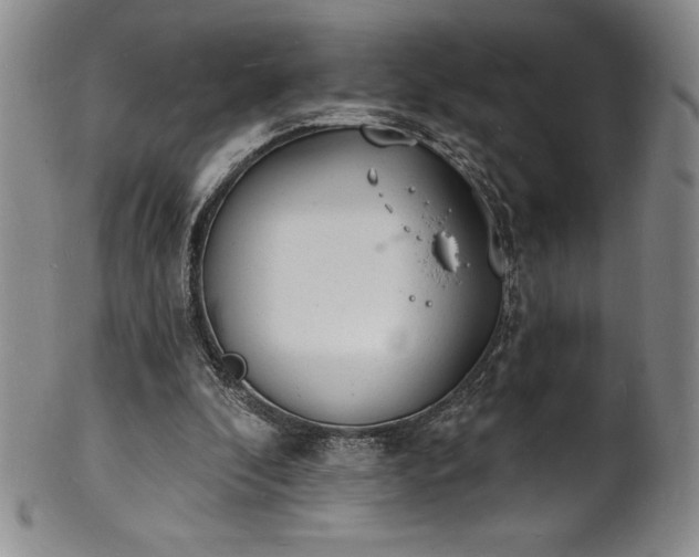 X0000101690296200807171441