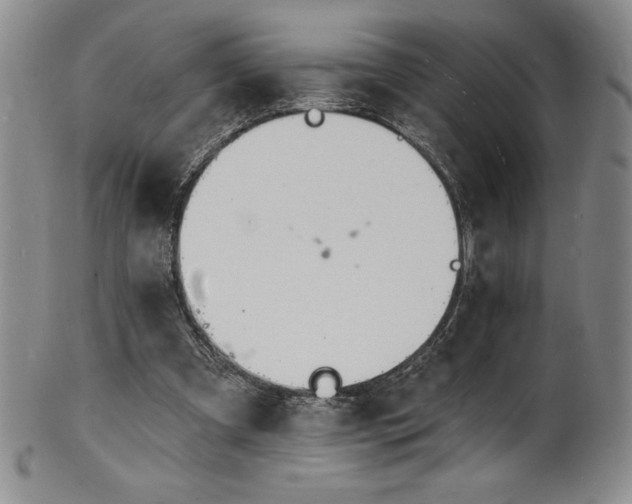 X0000101690297200807171441