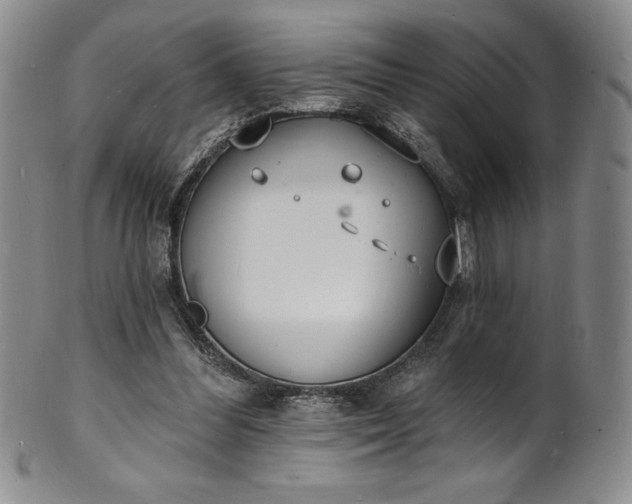 X0000101690300200807171441