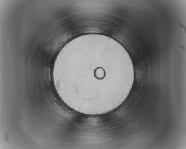 X0000101690302200807171441