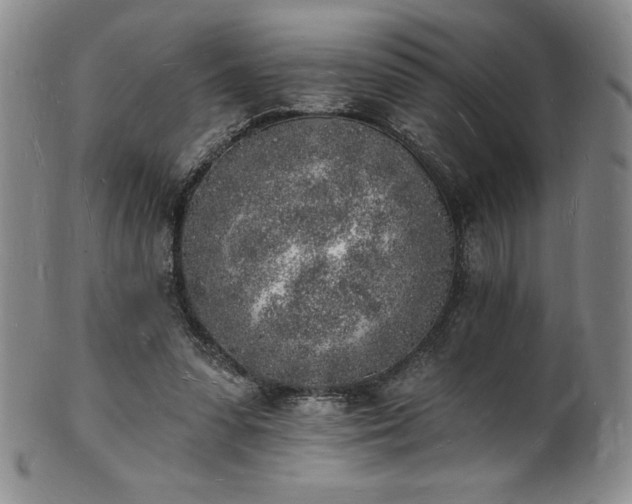 X0000101690303200807171441