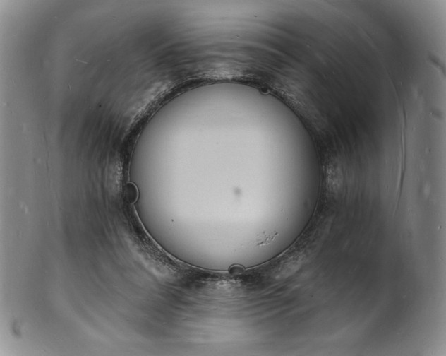 X0000101690304200807171441