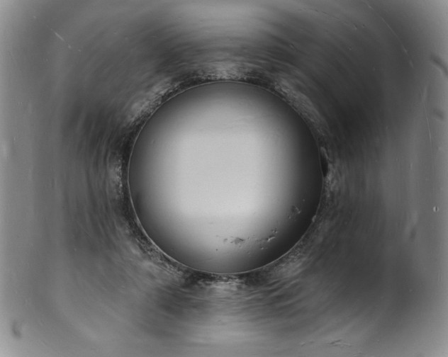 X0000101690306200807171441