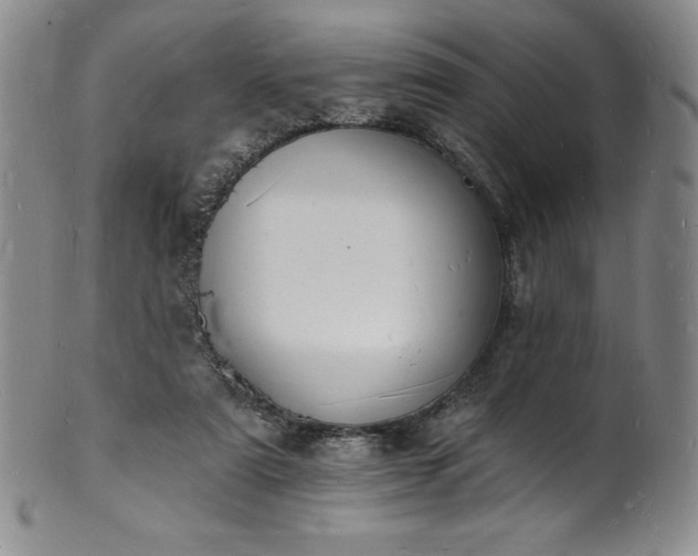 X0000101690307200807171441