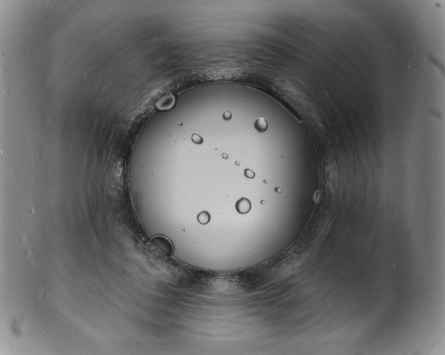 X0000101690308200807171441