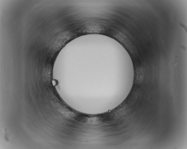 X0000101690309200807171441