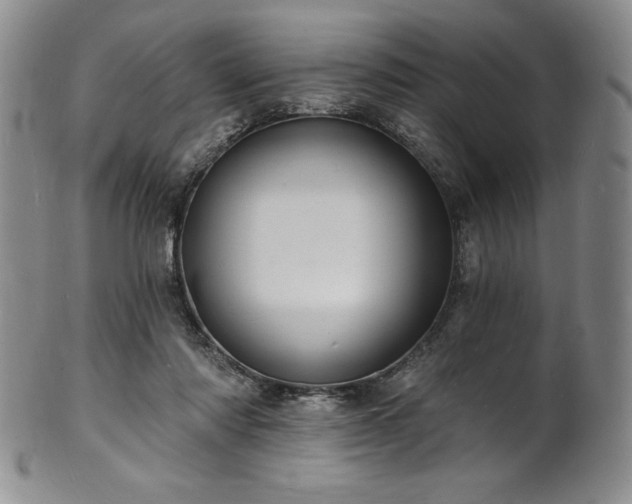 X0000101690310200807171441