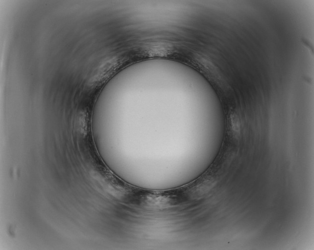 X0000101690311200807171441