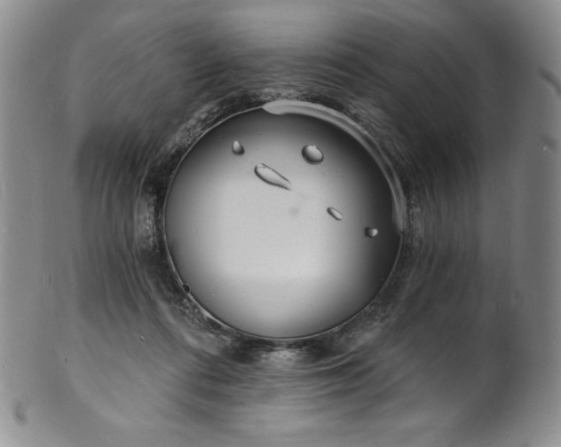 X0000101690312200807171441