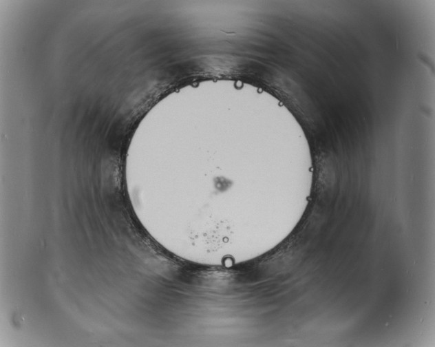 X0000101690313200807171441