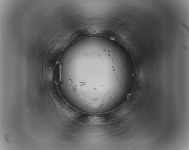 X0000101690315200807171441