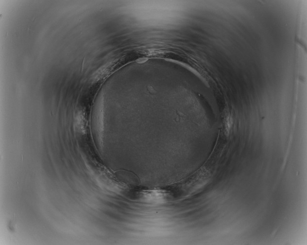 X0000101690316200807171441