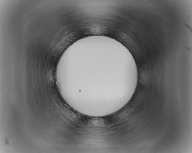 X0000101690317200807171441