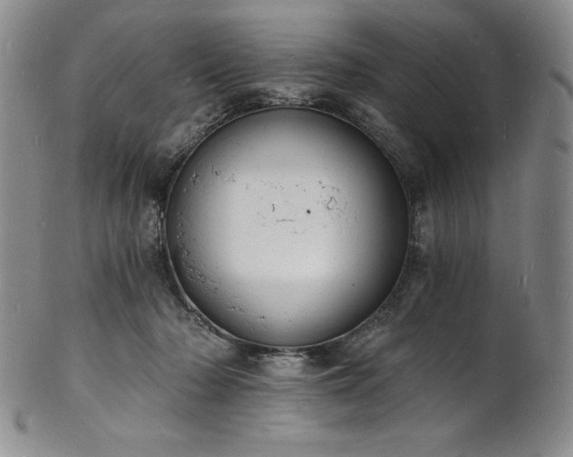 X0000101690318200807171441