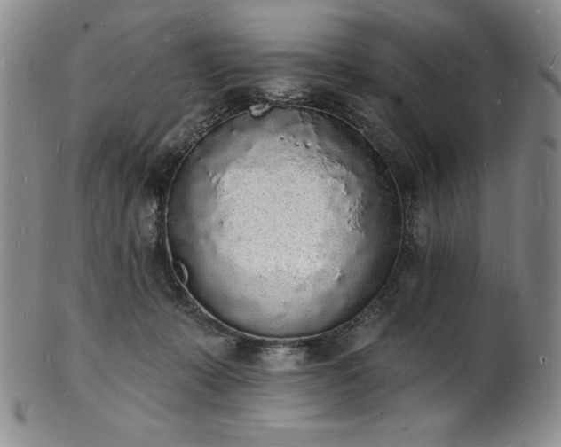 X0000101690319200807171441