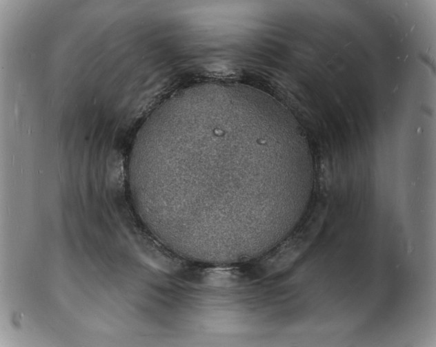 X0000101690320200807171441