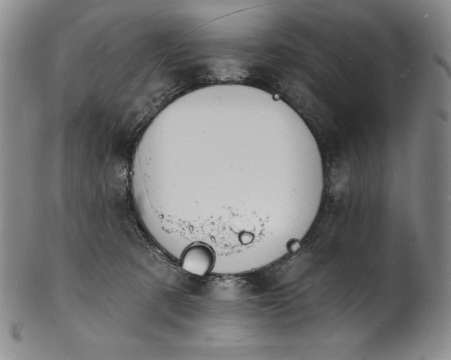 X0000101690321200807171441