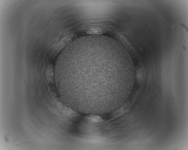 X0000101690322200807171441