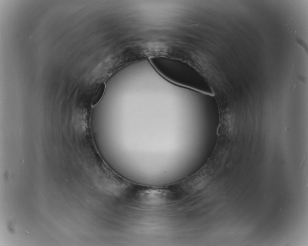 X0000101690323200807171441