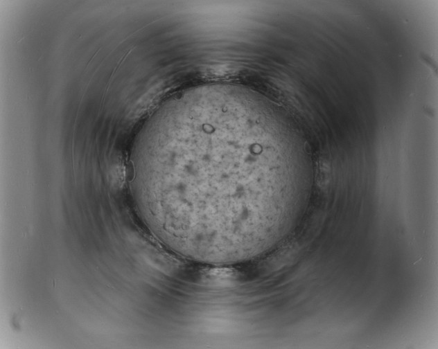 X0000101690324200807171441