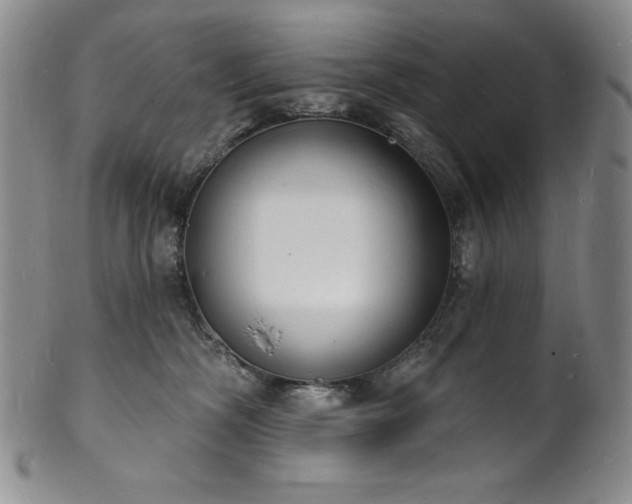 X0000101690326200807171441