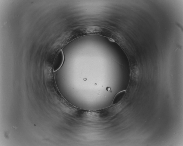 X0000101690327200807171441