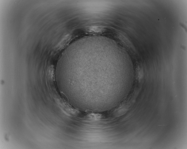 X0000101690328200807171441