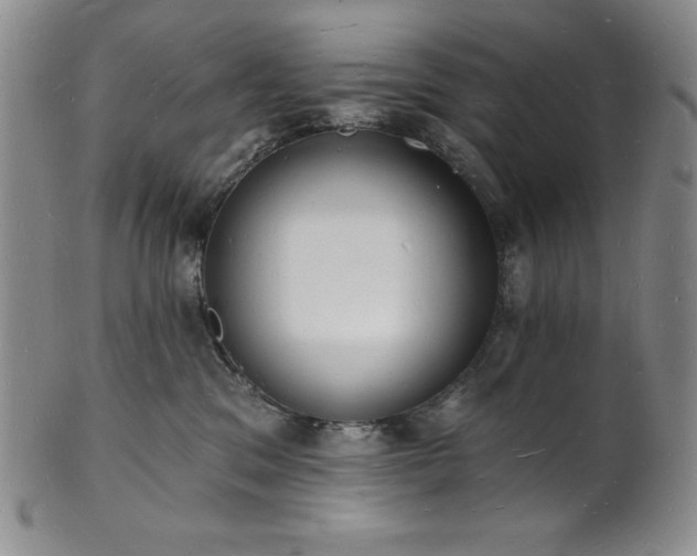 X0000101690329200807171441