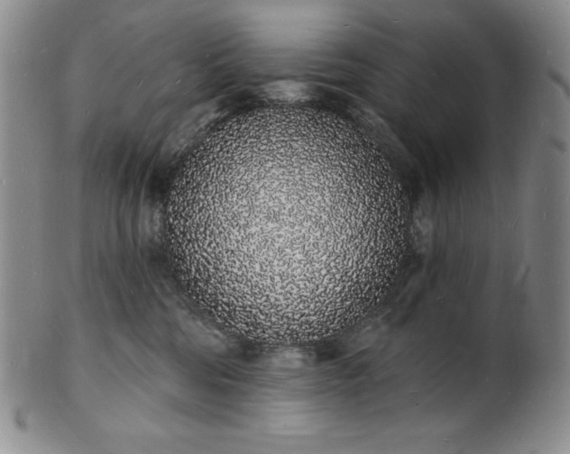 X0000101690330200807171441