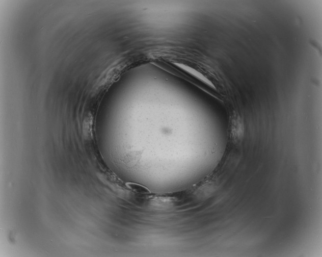 X0000101690332200807171441