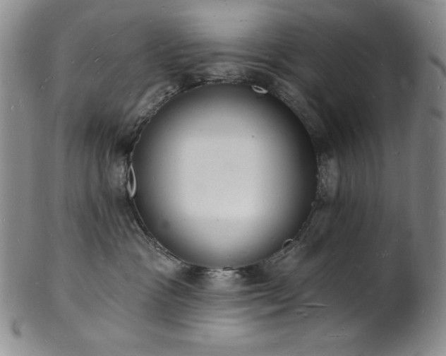 X0000101690333200807171441