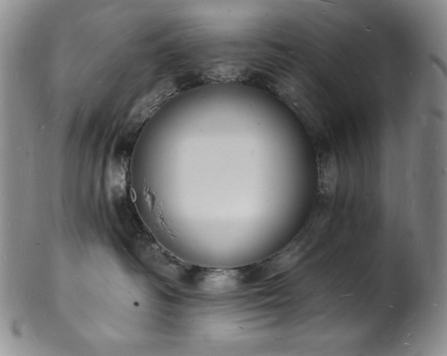 X0000101690334200807171441