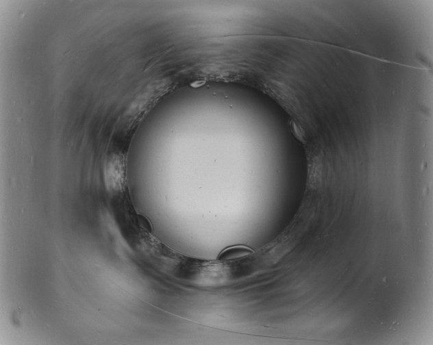 X0000101690335200807171441