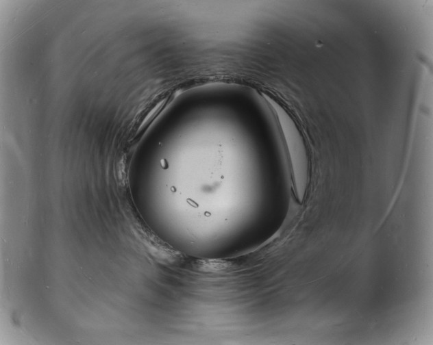 X0000101690336200807171441