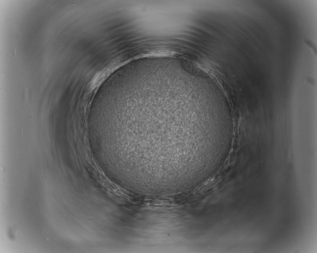 X0000101690337200807171440