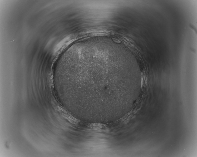 X0000101690339200807171440