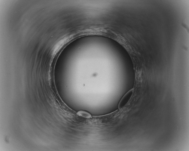 X0000101690340200807171440