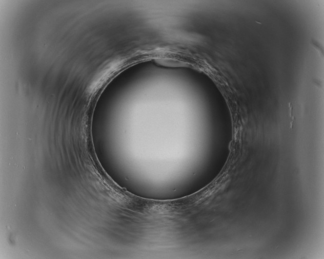 X0000101690341200807171440