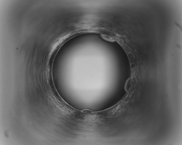 X0000101690342200807171440