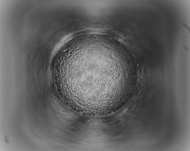 X0000101690343200807171440