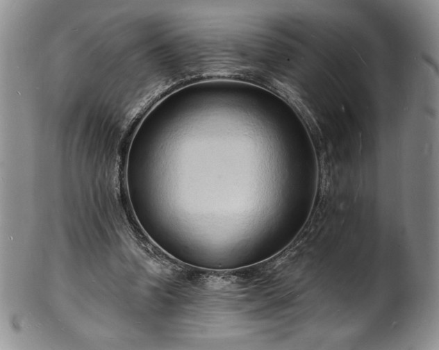 X0000101690346200807171440