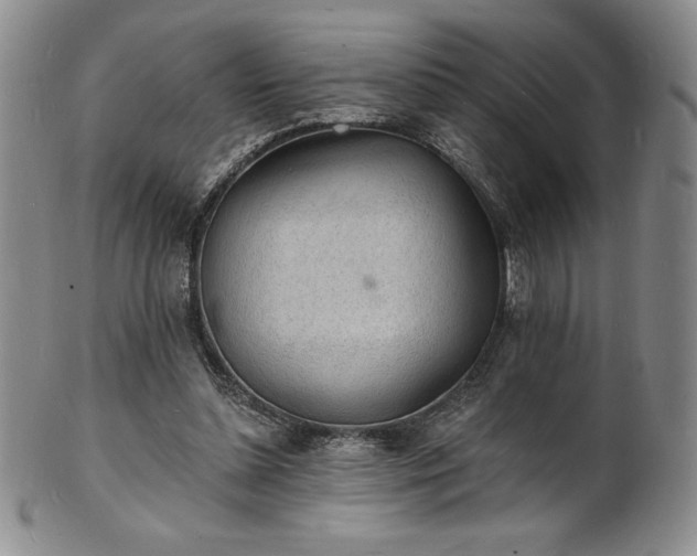 X0000101690348200807171440