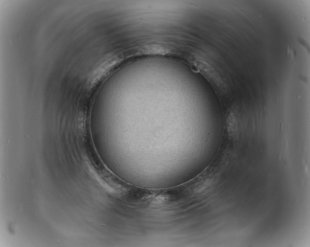 X0000101690352200807171440