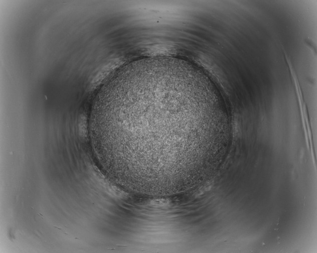 X0000101690353200807171440