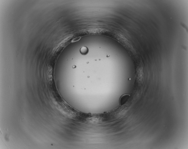 X0000101690356200807171440