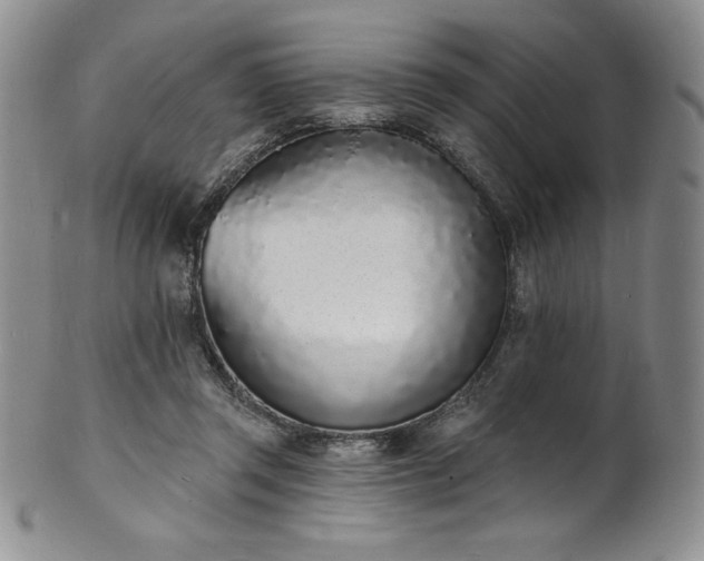 X0000101690357200807171440