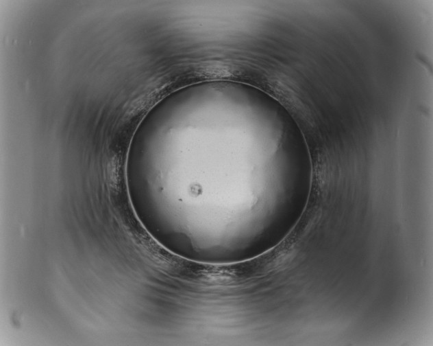 X0000101690359200807171440