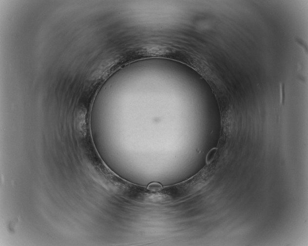 X0000101690360200807171440